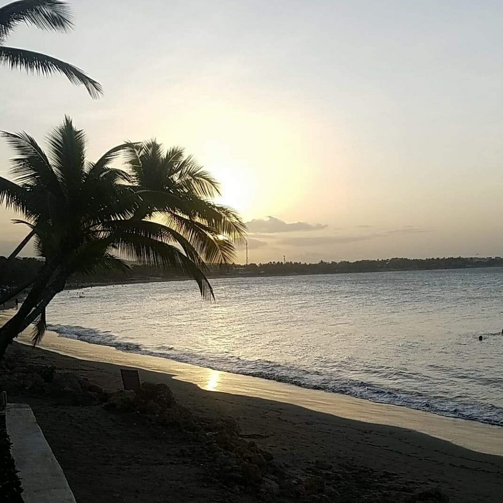 Meet your Posher, Marcia